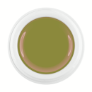 Colorgel spicy cardamom 2100
