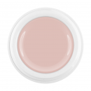 Ice Cream Color Gel sugar cookie