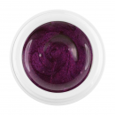 Limited Winter Edition 2018 Color Gel purple plum