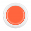 Limited Winter Edition 2018 Color Gel dark salmon