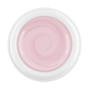 Cream Color Gel powder rose
